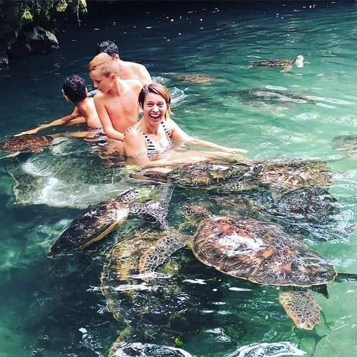 Nungwi Turtles Sanctuary